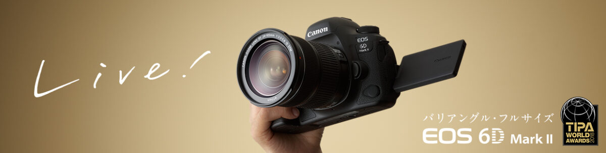 Canon EOS 6D Mark IIの画像