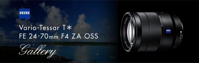 Vario-Tessar T* FE 24-70mm F4 ZA OSS SEL2470Z】カールツァイス製 