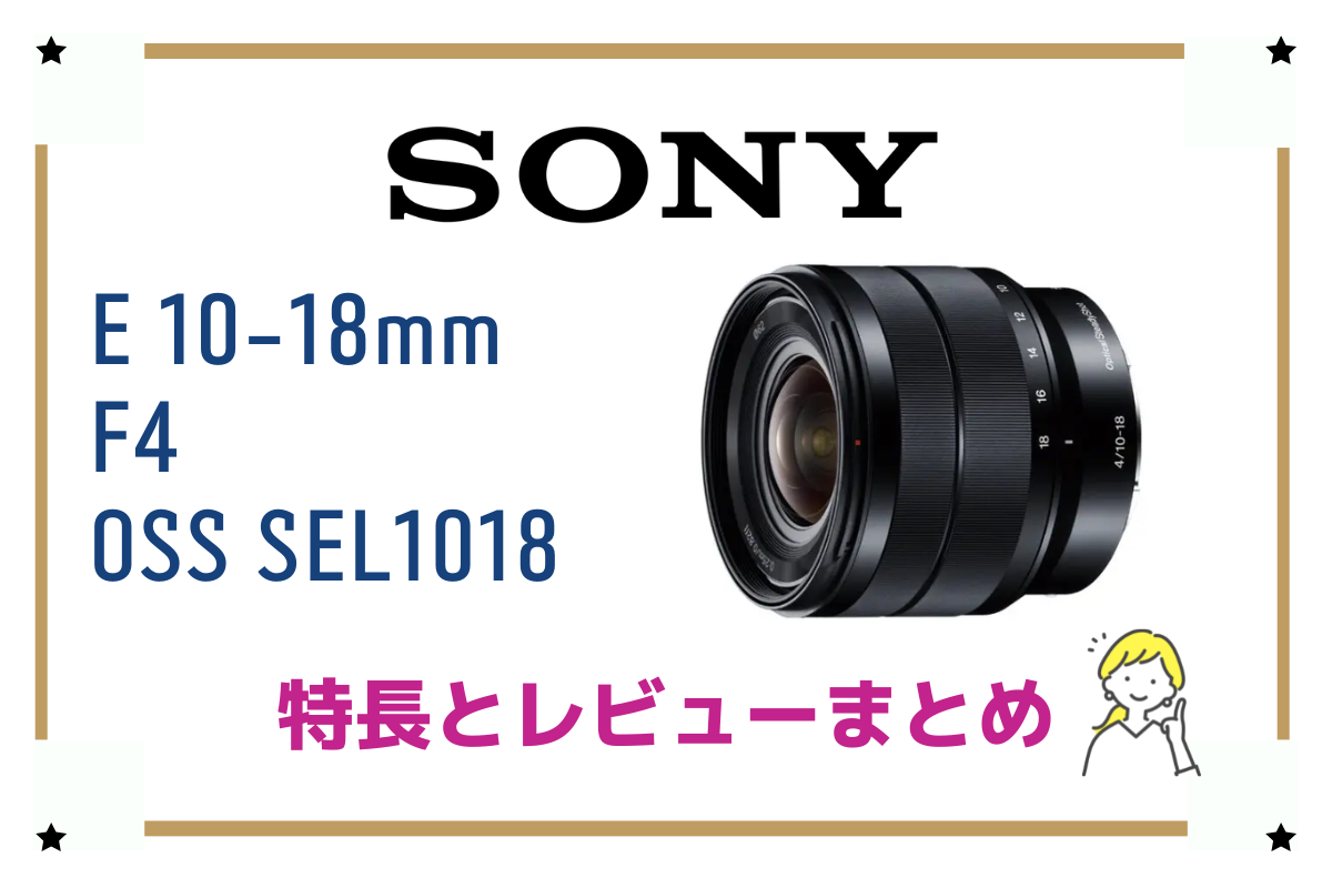 SONY E10-18F4OSS SEL1018 超広角ズームレンズ - husnususlu.com