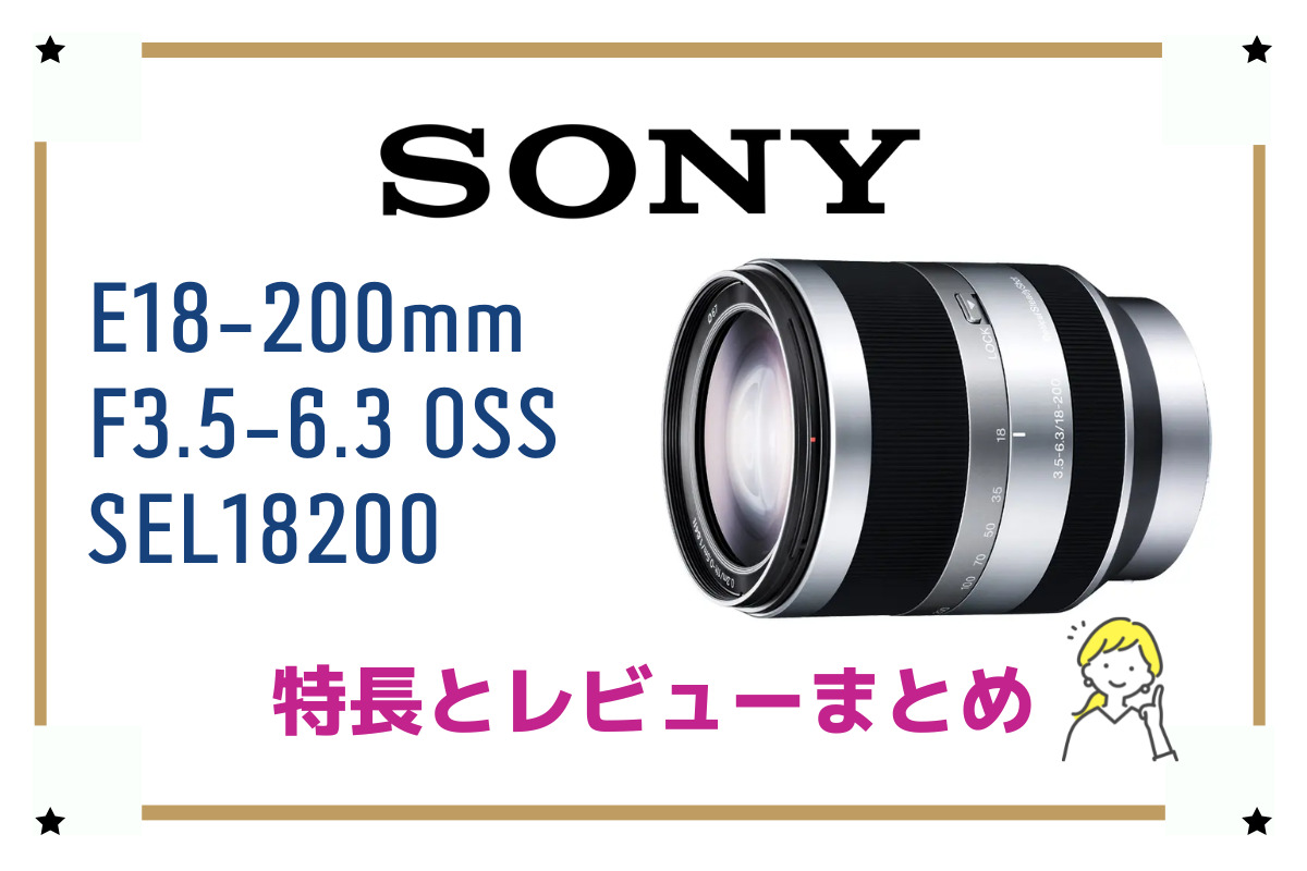 ソニーI1102-6 SONY E18-200F3.5-6.3OSS 望遠レンズ